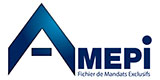 logo amepi